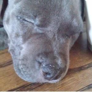 Meet your Posher, Rutilio